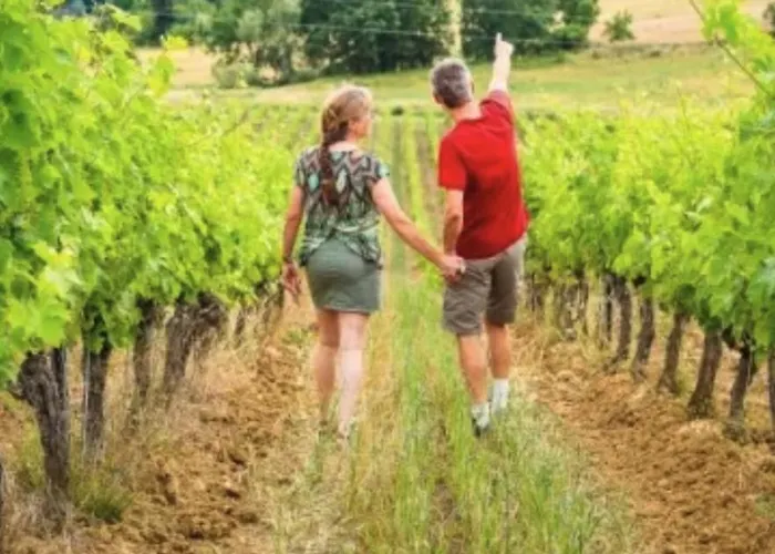 Pensión Climatisée Et Salle De Bain Privatives, Parking 3*