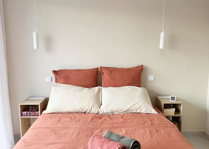 Climatisée Et Salle De Bain Privatives, Parking 3*